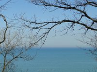 Bluff Trees 3 x 2